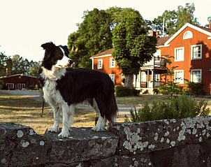 Guest house 11717301 - Apartment Gtaland - devata Grdshotell