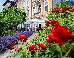 Unterkunft 12002922 • Appartement Sachsen • Hotel Lindenhof Bad Schandau 