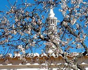 Monte Rosa - Huisje 3 in Baro de So Joo, Algarve, Portugal met bloeiende amandelboom voor rustieke charme.