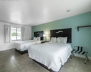 Unterkunft 13025401 - Appartement Florida - Everglades City Motel - Everglades Adventures Inn