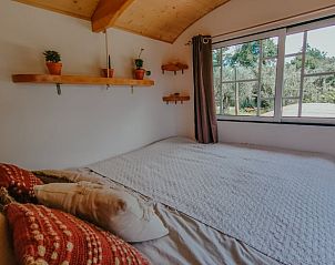 Guest house 13124203 - Holiday property Vale do Tejo - Vakantiehuis in Carregal Do Sal