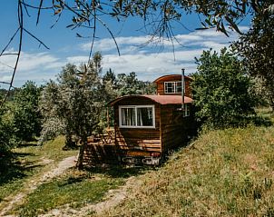 Guest house 13124203 - Holiday property Vale do Tejo - Vakantiehuis in Carregal Do Sal