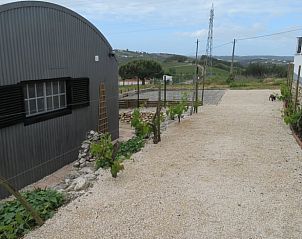 Verblijf 13143501 - Vakantiewoning Vale do Tejo - Vakantiehuisje in Carvalhal