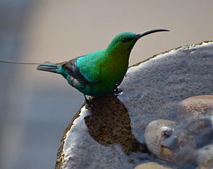 Verblijf 13227202 - Vakantiewoning West-Kaap - Fisherhaven Travellers Lodge