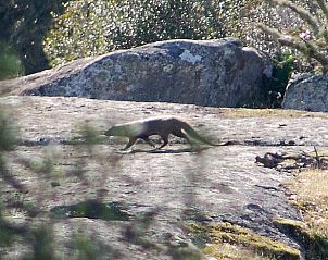 Unterkunft 13413701 - Ferienhaus Alentejo - Vakantiehuis in Vimieiro
