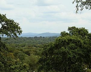 Unterkunft 13413701 - Ferienhaus Alentejo - Vakantiehuis in Vimieiro