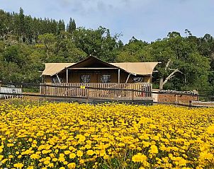 Unterkunft 1342207 - Zelthaus Alentejo - Glamping Lodge Boa Vista