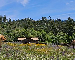 Unterkunft 1342207 - Zelthaus Alentejo - Glamping Lodge Boa Vista