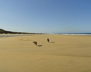 Unterkunft 1342401 - Ferienhaus Alentejo - Vakantiehuis in Abela