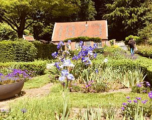 Verblijf 135002 - Bed and breakfast Noord-Holland zuid - Art+bed and breakfast