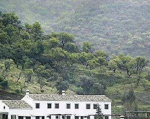 Guest house 14145108 - Bed and Breakfast Andalusia - La Molneta 