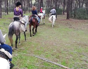 Unterkunft 1414601 - Appartement Andalusien - Nido Aguila Blanca