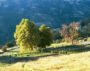 Verblijf 14154103 - Vakantiewoning Andalusie - Vakantiehuisje in La Taha (Pitres)