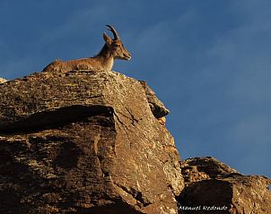 Verblijf 14154103 - Vakantiewoning Andalusie - Vakantiehuisje in La Taha (Pitres)