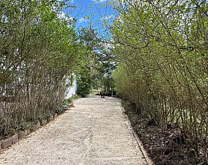Verharde oprijlaan naar Huisje in San Martin de la Virgen de Moncayo, een vakantiehuis omgeven door natuur in Aragn, Spanje.
