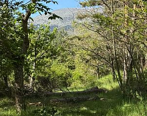 Ontdek de serene natuur rondom Huisje in San Martin de la Virgen de Moncayo, Spanje, omringd door weelderige bossen en bergen.