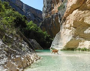 Guest house 14222001 - Holiday property Aragom / Navarra / La Rioja - Vakantiehuisje in Juseu