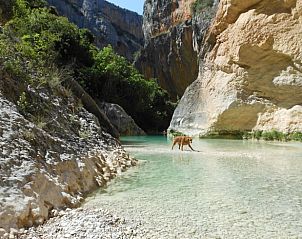 Guest house 14222002 - Holiday property Aragom / Navarra / La Rioja - Vakantiehuisje in Juseu