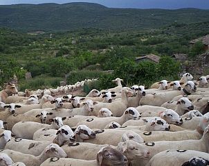 Guest house 14222002 - Holiday property Aragom / Navarra / La Rioja - Vakantiehuisje in Juseu