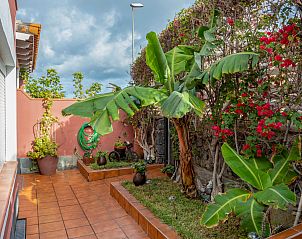 Guest house 1446401 - Holiday property Canary Islands - Vakantiehuis La Marea