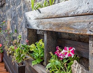 Guest house 1446401 - Holiday property Canary Islands - Vakantiehuis La Marea