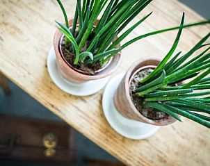 Unterkunft 1450101 - Zimmer mit Frühstück Westflandern - B&B Buytenshuys