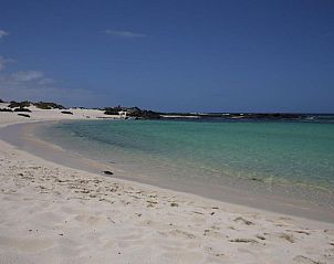 Verblijf 14614411 • Appartement Canarische Eilanden • Residencial Cotillo Playa 