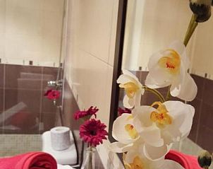 Guest house 14614411 - Apartment Canary Islands - Residencial Cotillo Playa