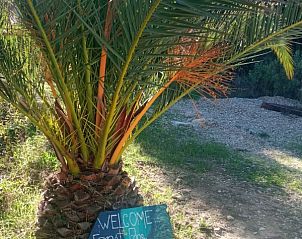 Verblijf 14701902 - Vakantiewoning Catalonië / Pyreneeën - Forest Edge