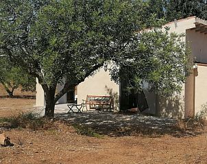 Guest house 14739803 - Holiday property Catalonia / Pyrenees - Vakantiehuis in Freginals