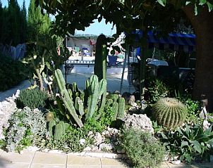 Geniet van de mediterrane tuinen bij B & B - Minicamping Casa Bruinsma in El Realengo, Costa Blanca, met cactussen en schaduwrijke plekken.