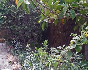 Unterkunft 1490340 - Ferienhaus Costa blanca - Casa francesca