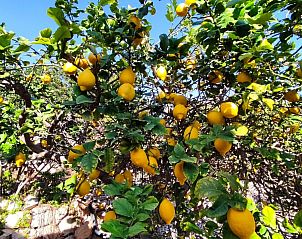 Verblijf 14912002 - Vakantiewoning Costa Blanca - Casa Yanaika