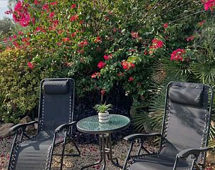 Ontspan op het terras van Casita Fuente in El Altet, Costa Blanca, Spanje, omgeven door kleurrijke bloemen en natuur.