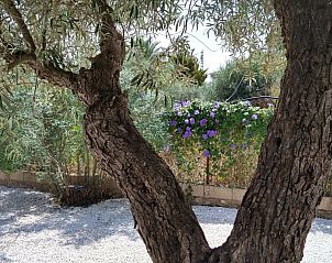 Verblijf 14915302 - Appartement Costa Blanca - Casita Fuente