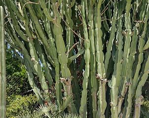 Verblijf 14915302 - Appartement Costa Blanca - Casita Fuente