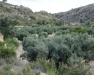 Unterkunft 1492206 - Ferienhaus Costa blanca - Vakantiehuisje in Jijona