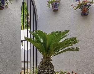 Verblijf 14924801 - Bed and breakfast Costa Blanca - Casa Asombrosa