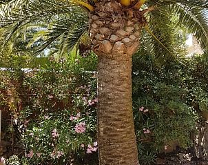 Verblijf 1493295 - Vakantiewoning Costa Blanca - Casa Alegre Benissa