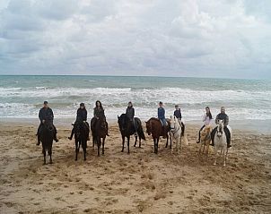 Guest house 1493706 - Bed and Breakfast Costa Blanca - Casa Selegna