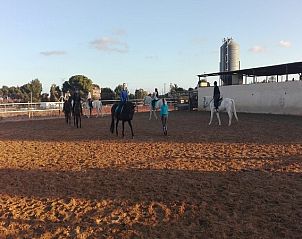 Guest house 1493706 - Bed and Breakfast Costa Blanca - Casa Selegna