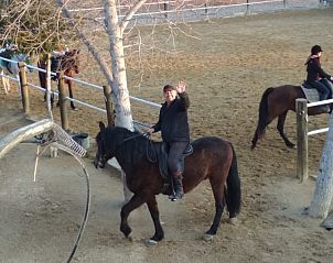 Guest house 1493706 - Bed and Breakfast Costa Blanca - Casa Selegna