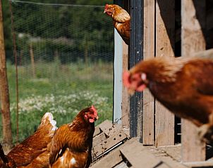 Verblijf 15012702 - Vakantiewoning Costa Brava - Vakantiehuis in Albanyà