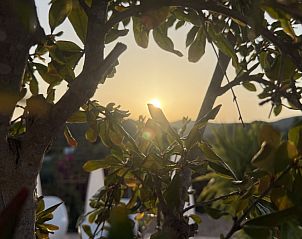 Zonsondergang tussen de bomen bij Casa Frutales relax resort in Simat de Valldigna, Costa de Valencia, Spanje.