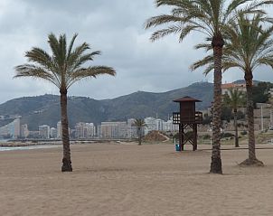 Ontdek het strand bij Villa Alberic, een vakantiehuis in Alberic, Costa de Valencia, met uitzicht op zee en palmbomen.