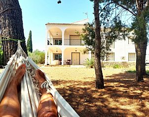 Ontspan in een hangmat bij Finca Kim, een vakantiehuis in Lliria, Valencia, omgeven door de serene natuur van Costa del Azahar.