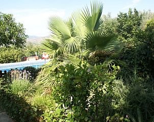 Unterkunft 1540503 - Ferienhaus Costa del Azahar - Vakantiehuisje in Pedralba