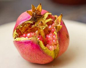 Unterkunft 1540504 - Ferienhaus Costa del Azahar - Vakantiehuisje in Pedralba