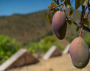 Guest house 1550901 - Holiday property Costa del Sol - Vakantiehuisje in Puerto las Tinajuelas, municipio El Borge