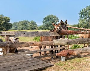 Verblijf 15603201 - Vakantie appartement Thüringen - Weiße Mühle